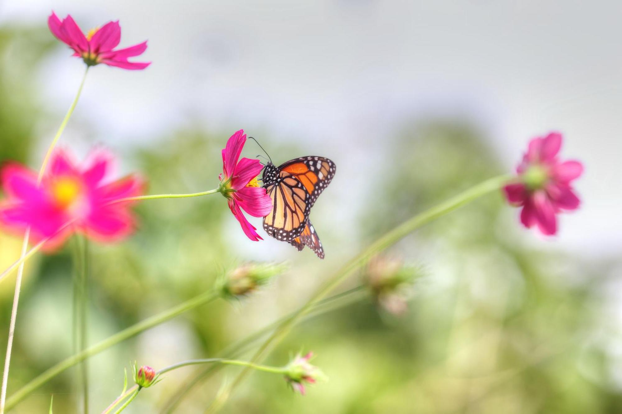 Hadco Experiences At Asa Wright Nature Centre Blanchisseuse Εξωτερικό φωτογραφία