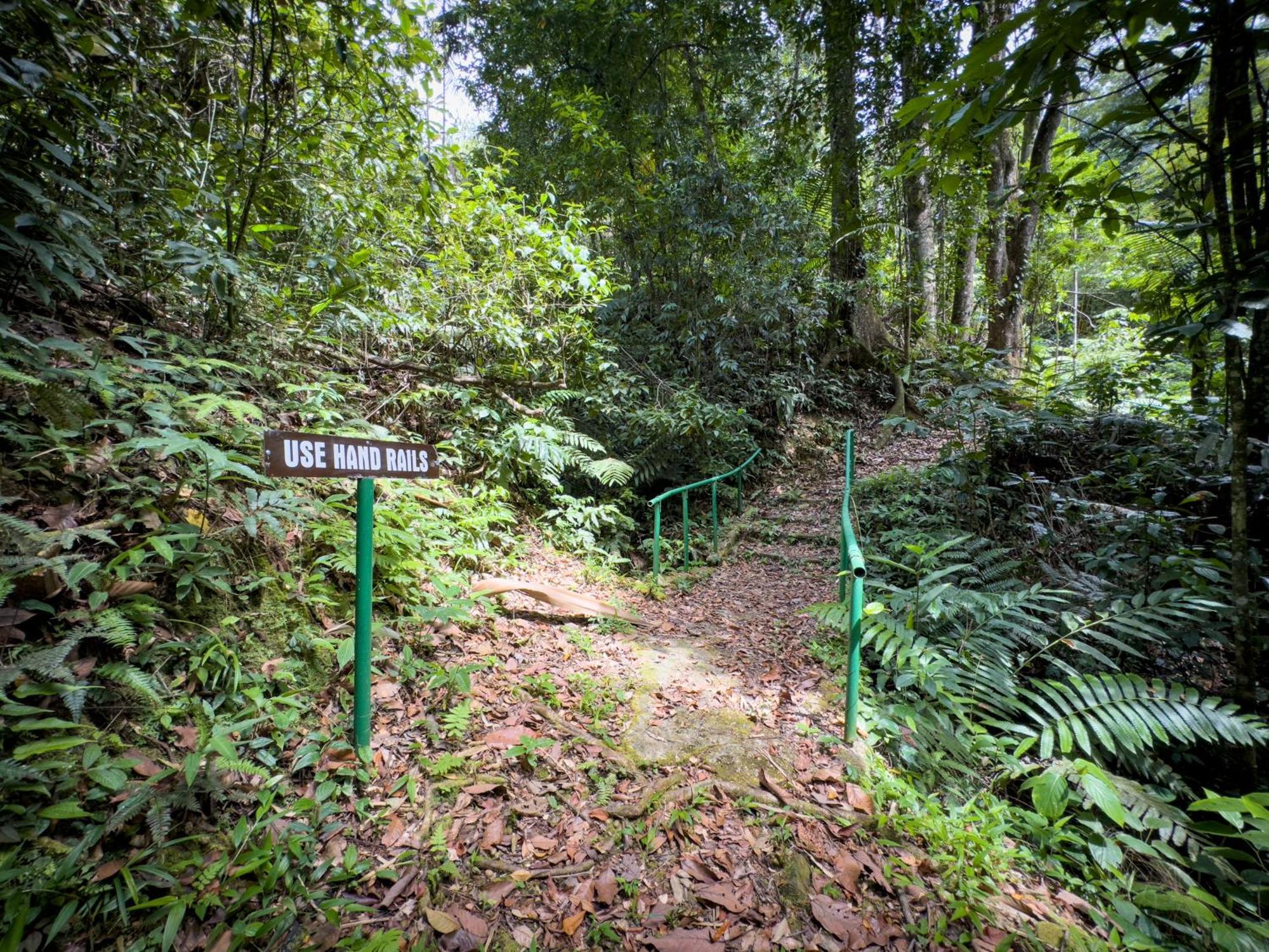 Hadco Experiences At Asa Wright Nature Centre Blanchisseuse Εξωτερικό φωτογραφία