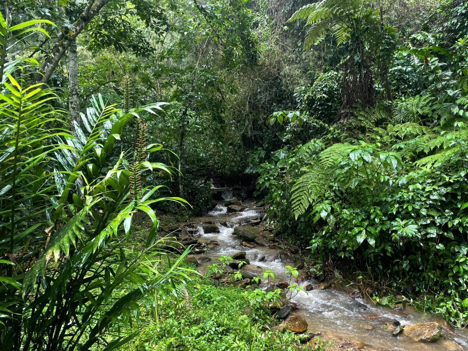 Hadco Experiences At Asa Wright Nature Centre Blanchisseuse Εξωτερικό φωτογραφία