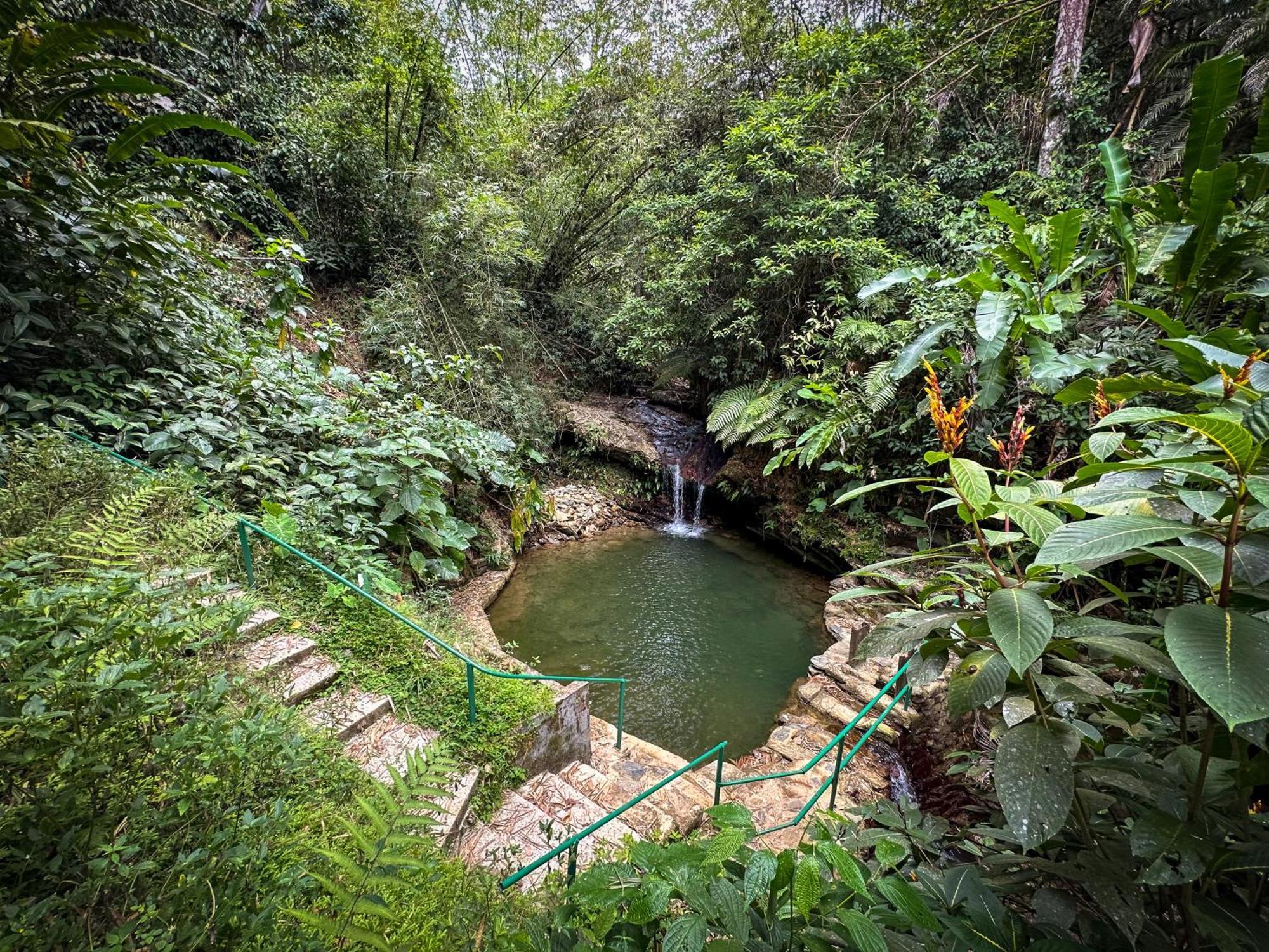Hadco Experiences At Asa Wright Nature Centre Blanchisseuse Εξωτερικό φωτογραφία
